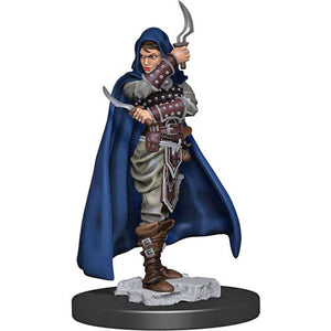 Pathfinder Battles: Premium Painted Figure - Human Rogue Female