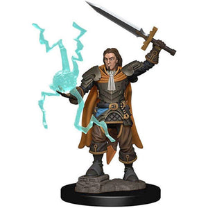 Pathfinder Battles: Premium Painted Figure - Human Cleric Male