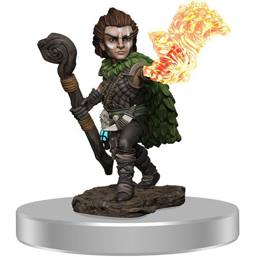 Pathfinder Battles: Premium Painted Figure - Gnome Druid Male