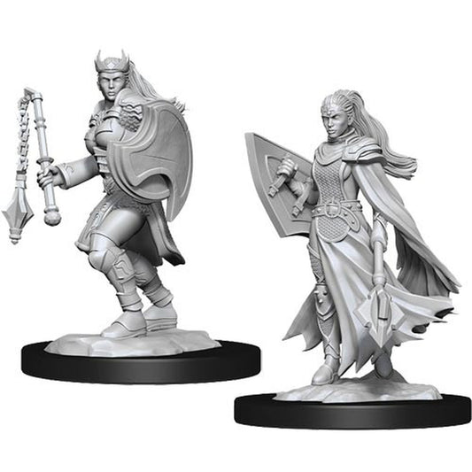 Nolzur's Marvelous Unpainted Miniatures - Kalashtar Cleric  Female