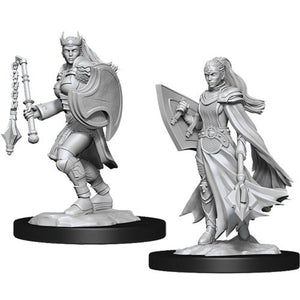 Nolzur's Marvelous Unpainted Miniatures - Kalashtar Cleric  Female