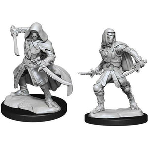 Nolzur's Marvelous Unpainted Miniatures - Warforged Rogue